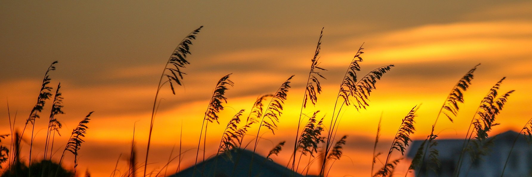 Bill_Gerke's profile banner image