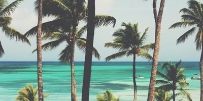Tarryn Froneman banner