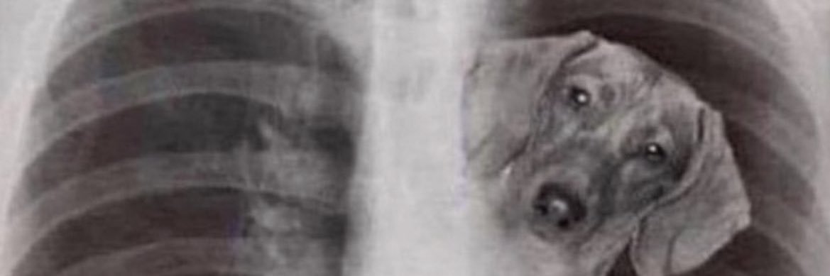 BruinBacker17's profile banner image