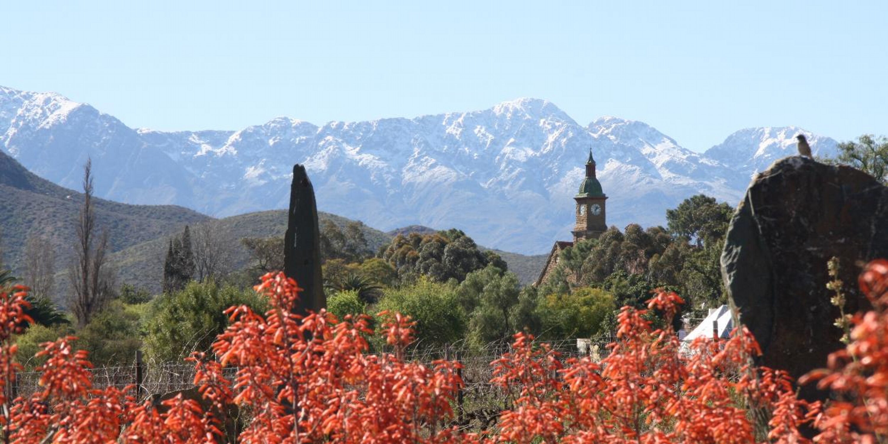 Boplaas1880's profile banner image