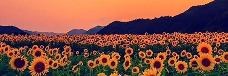 Colbs1120's profile banner image