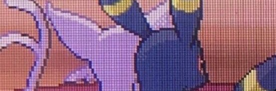 airwreck ☀️ banner