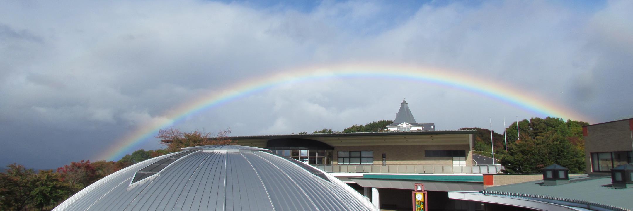 dobutsuaigo's profile banner image