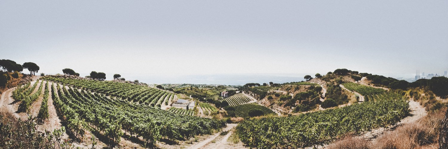 Alta Alella • Celler de les Aus banner