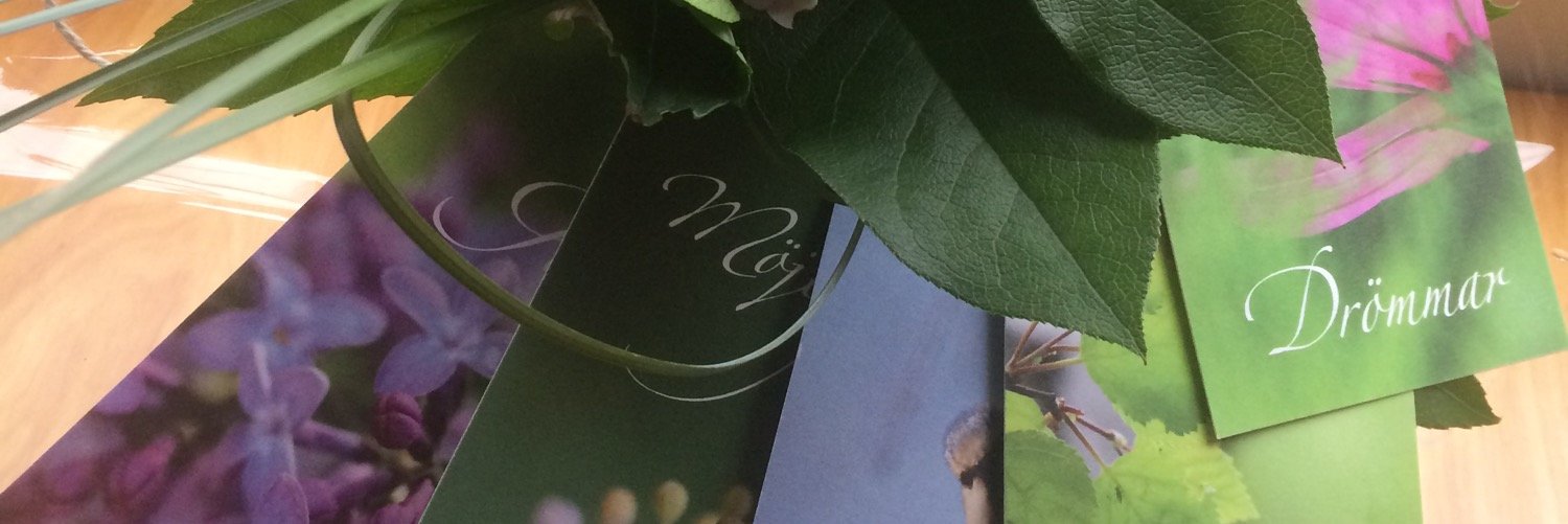MSkiold's profile banner image