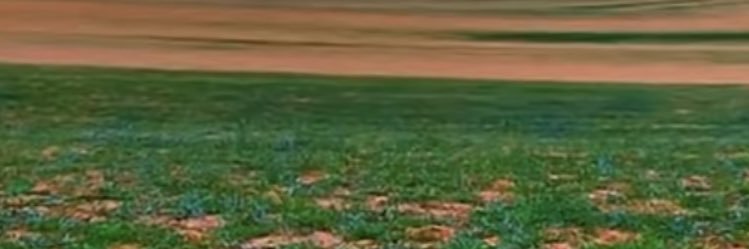 ali79038's profile banner image