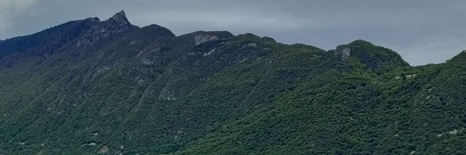 GrandLinear's profile banner image