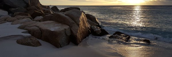sszinglehead Profile Banner