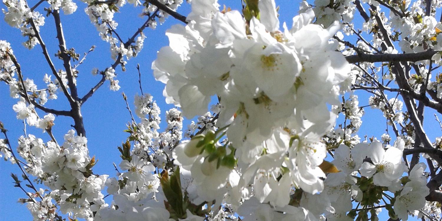 CorinnePR13240's profile banner image