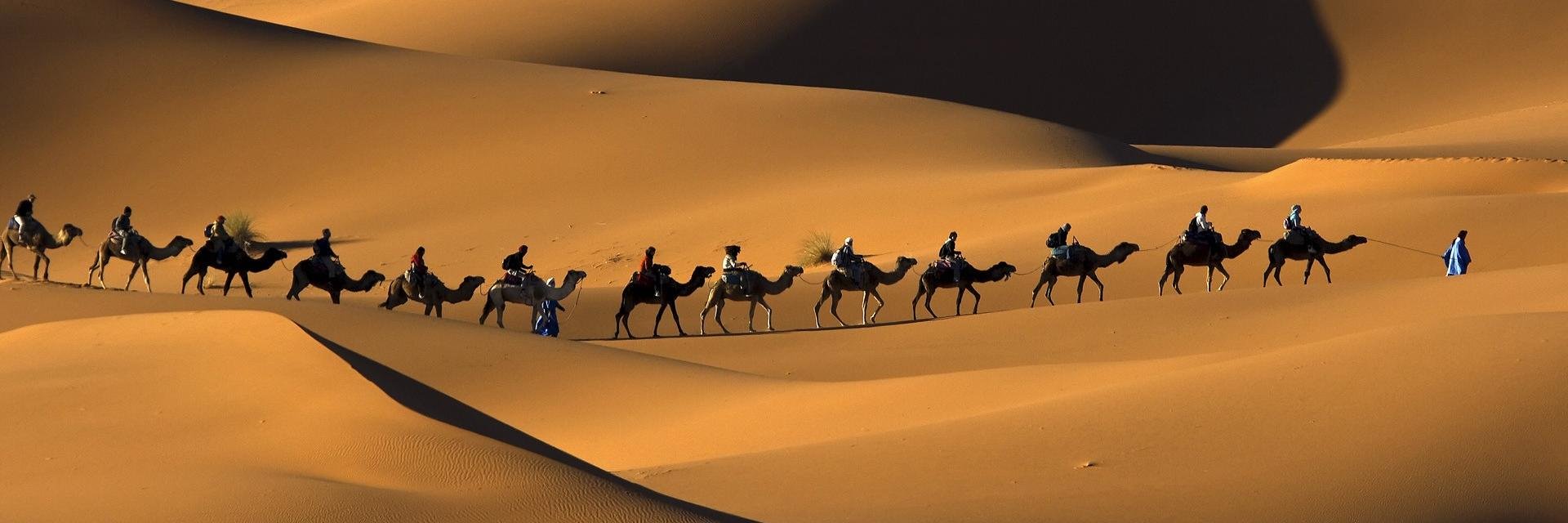 akh_raf's profile banner image