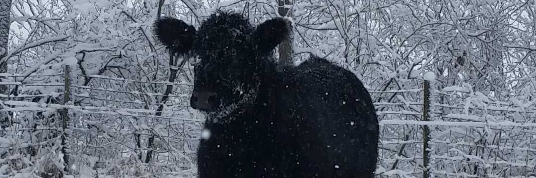 13blampe's profile banner image