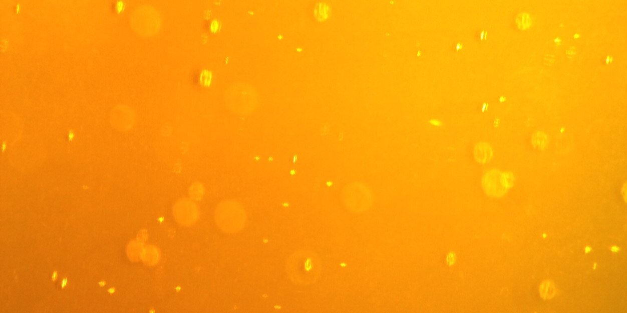 dramadeer's profile banner image