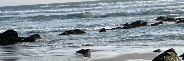 FritzKuhn1 Profile Banner