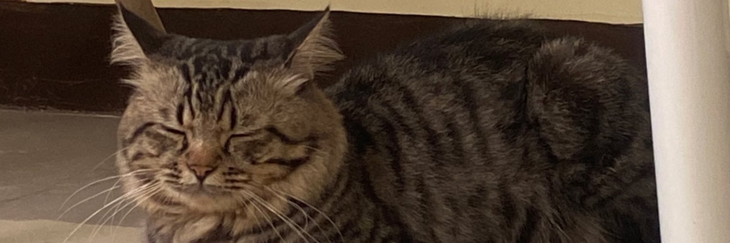 supeeerczar's profile banner image