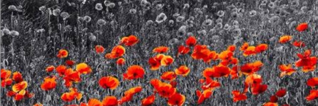 1ndependenceDae's profile banner image