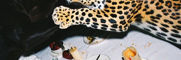 dnzlgrnt Profile Banner