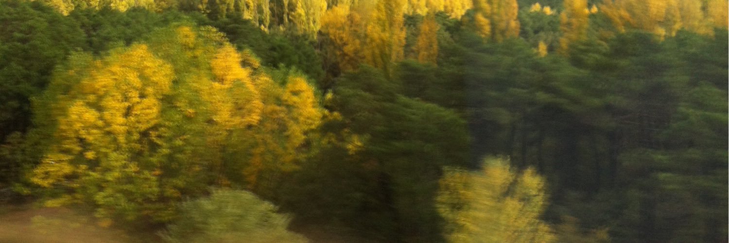 sandramiotroyo's profile banner image