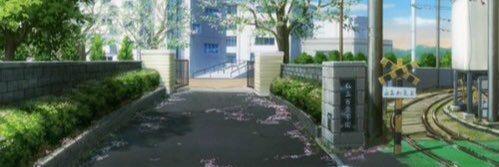 now_forester's profile banner image