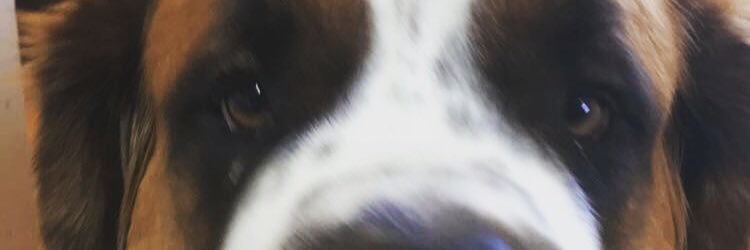 gail banner