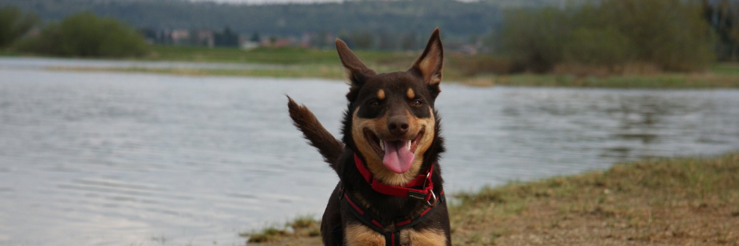 biofrik's profile banner image