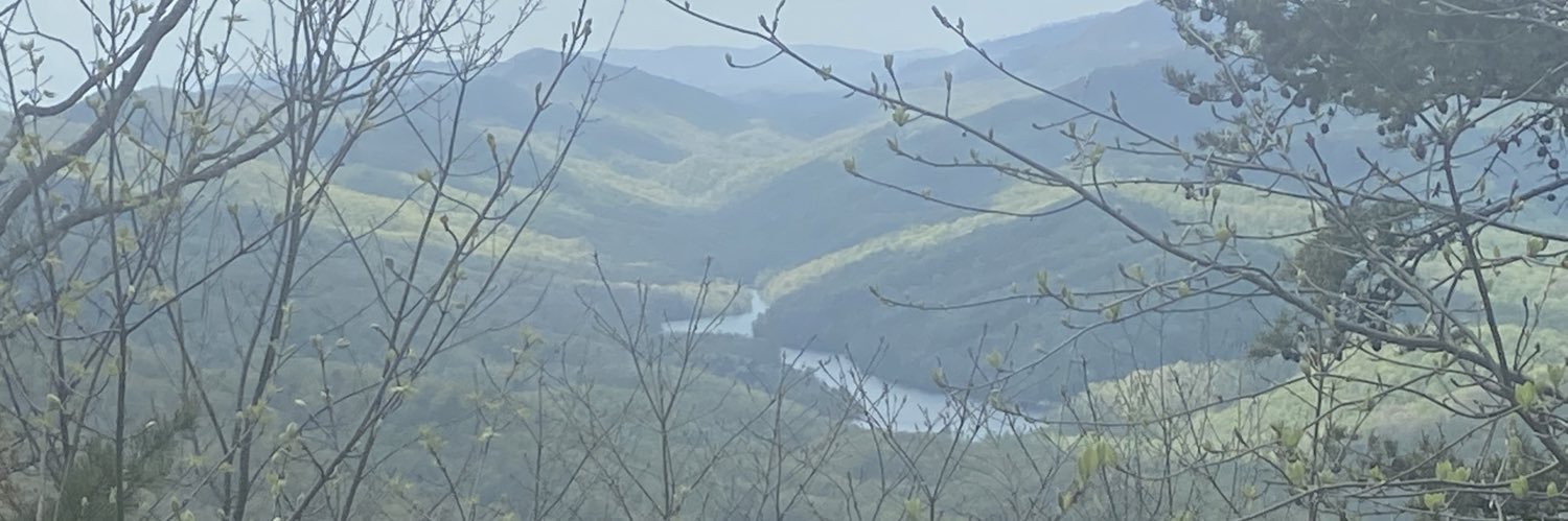 treecolene's profile banner image