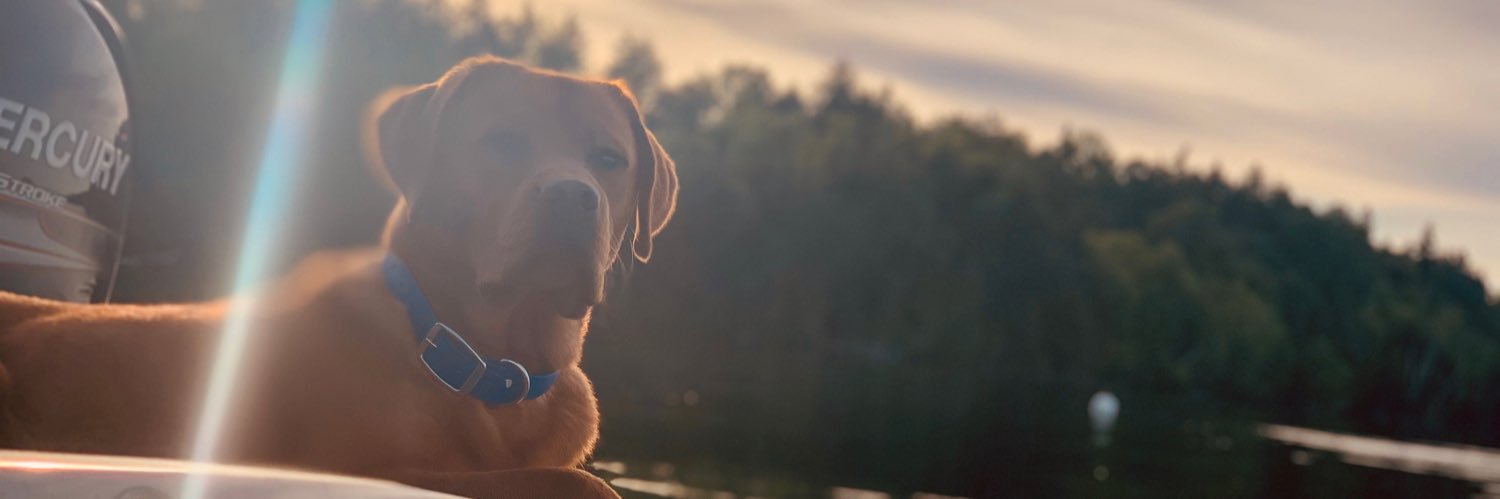 bobbyb643's profile banner image