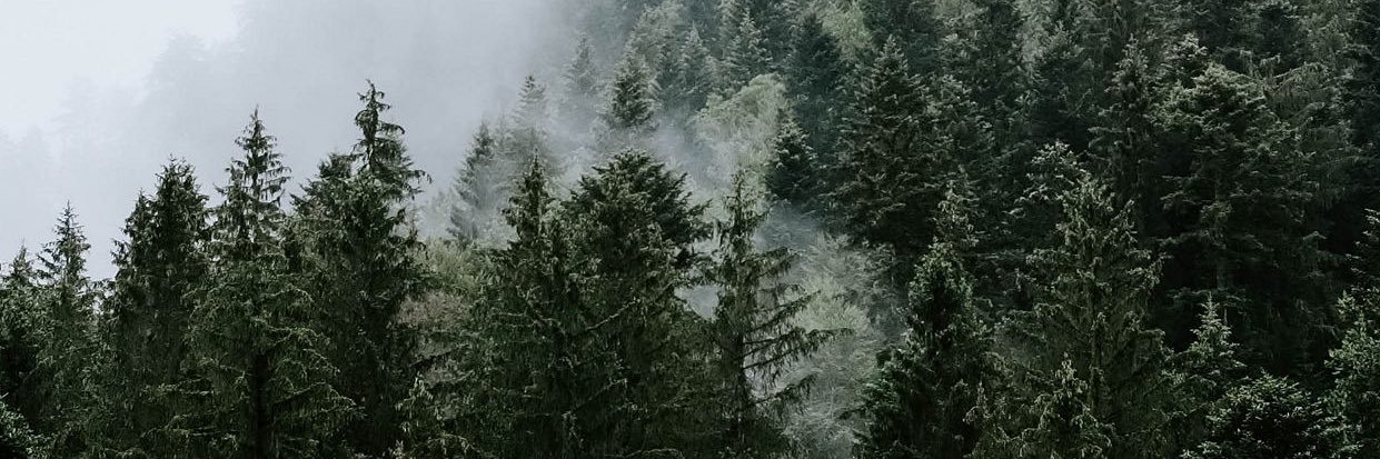 Fernandespc14's profile banner image