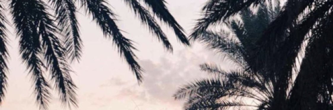 zh_FHD's profile banner image