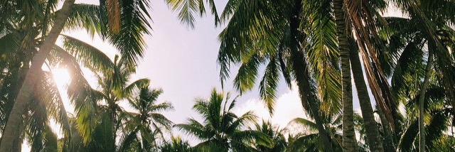 steffserranoo's profile banner image