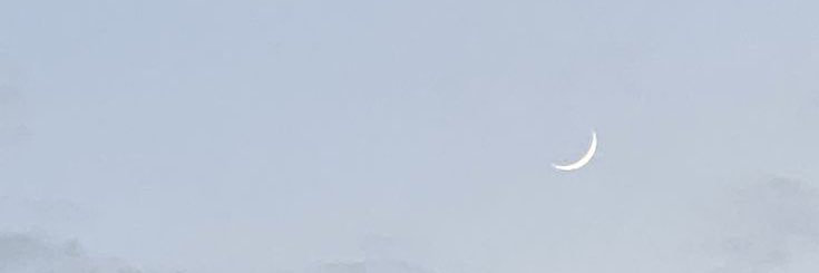 Noocolor's profile banner image