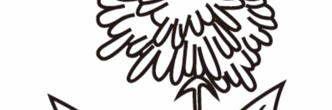 gyeomdimple's profile banner image