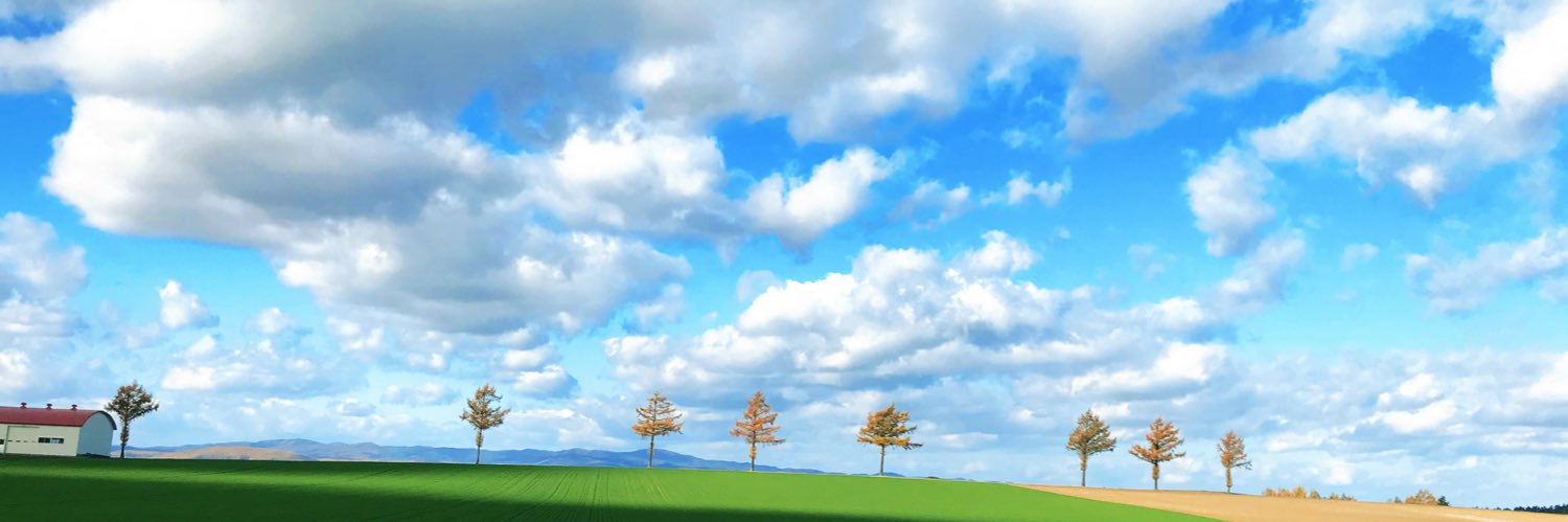 misery_bear7's profile banner image