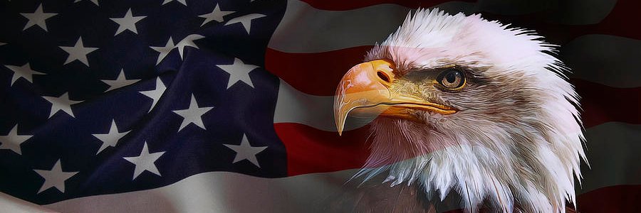 ccharlamb8's profile banner image