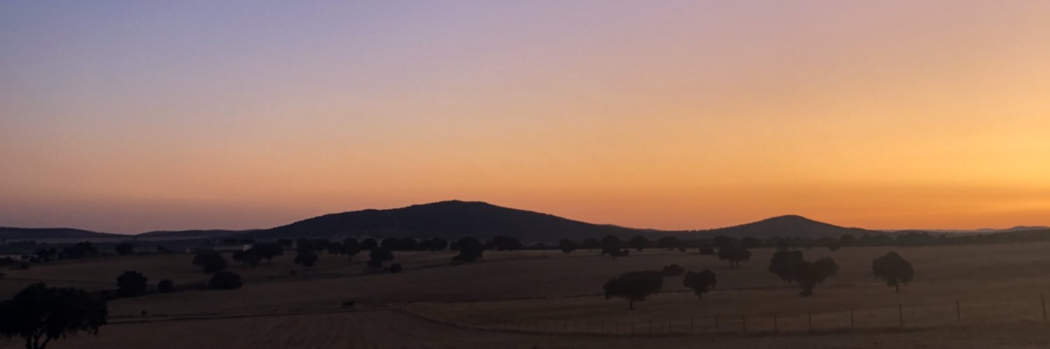 MariaNolasco9's profile banner image
