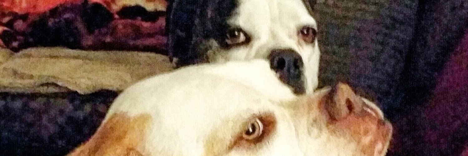 kat_bert's profile banner image