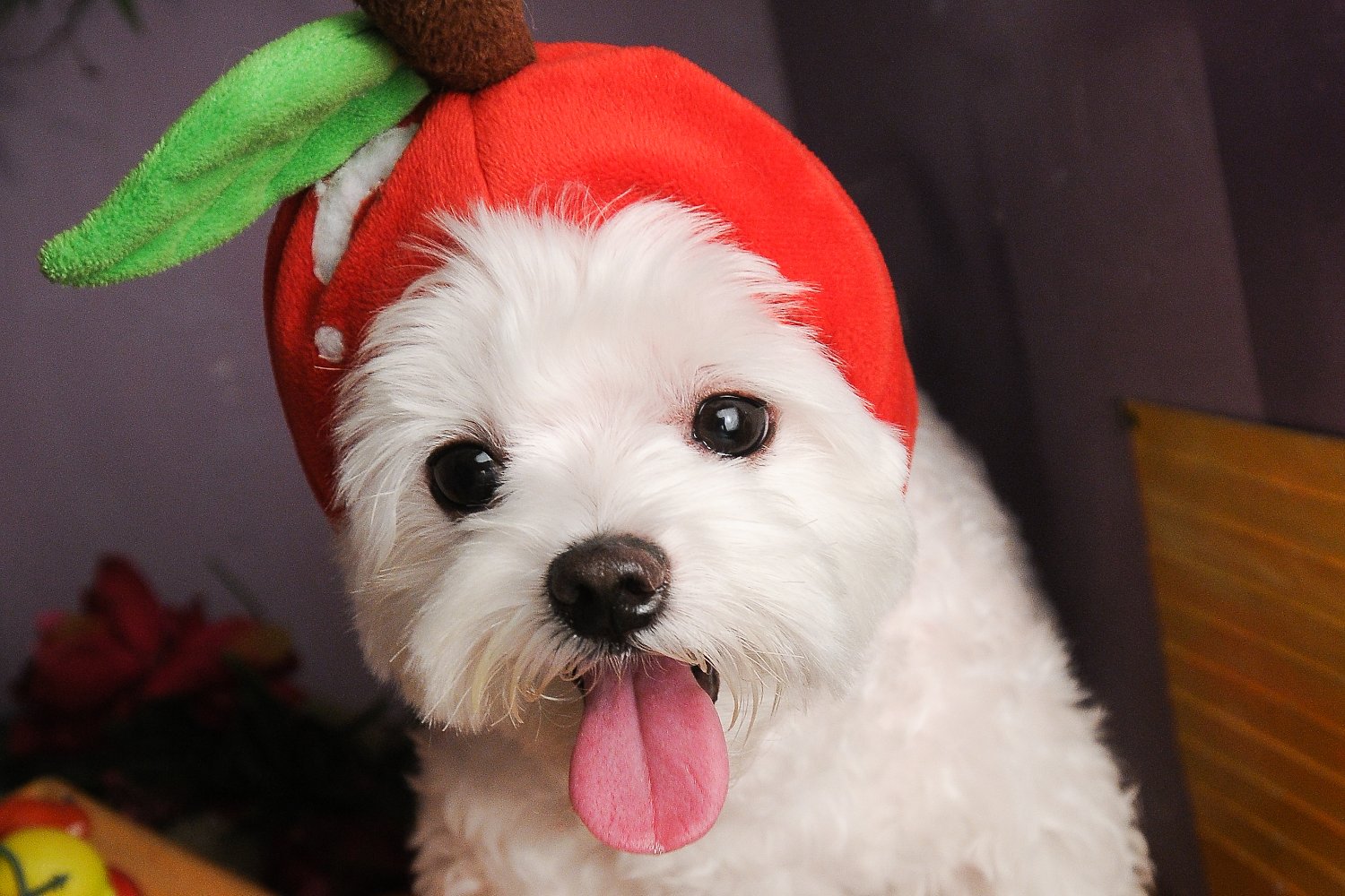 finna0726's profile banner image