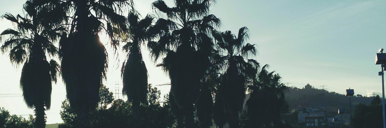 MarkusXCIV's profile banner image