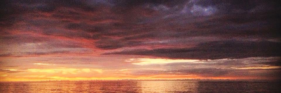 Ellen Stechel banner