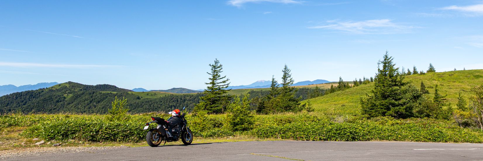 双子座のサガ…. ݁₊ ⊹ . ݁ ⟡🎄☃️❄🧑‍🎄🎄 ݁ . ⊹ ₊ ݁. banner