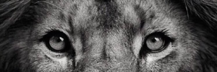 Reecebrown95R's profile banner image