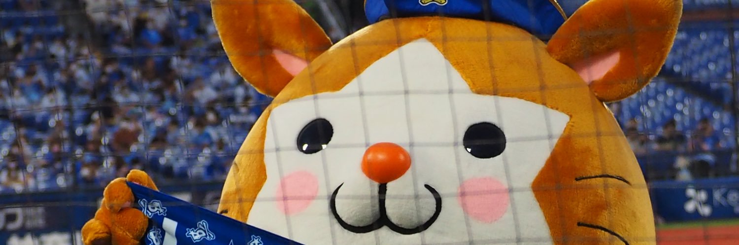 secchaaann's profile banner image