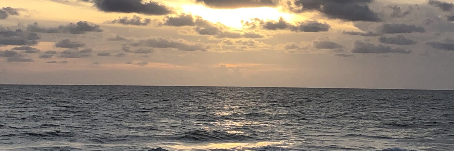 TheRealOSN's profile banner image