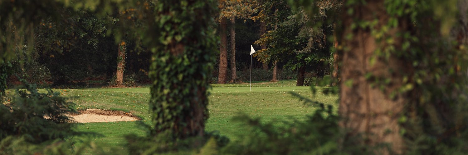 Paultons Golf Centre banner