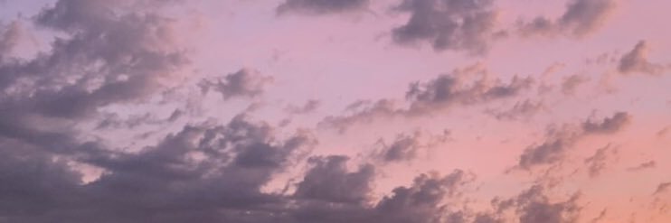naew banner