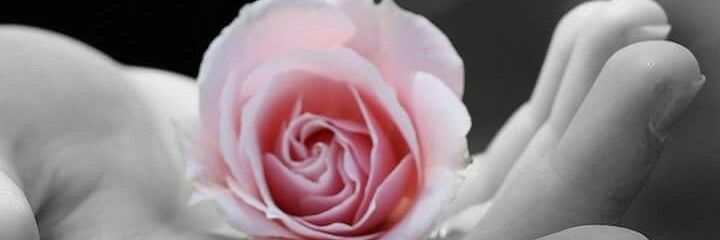 swaatik's profile banner image