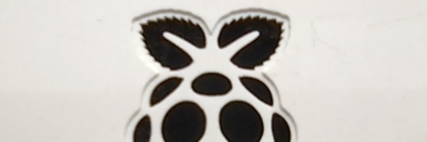 からす（あおたま） banner