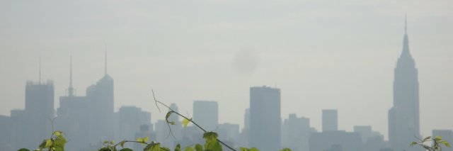sachakht's profile banner image