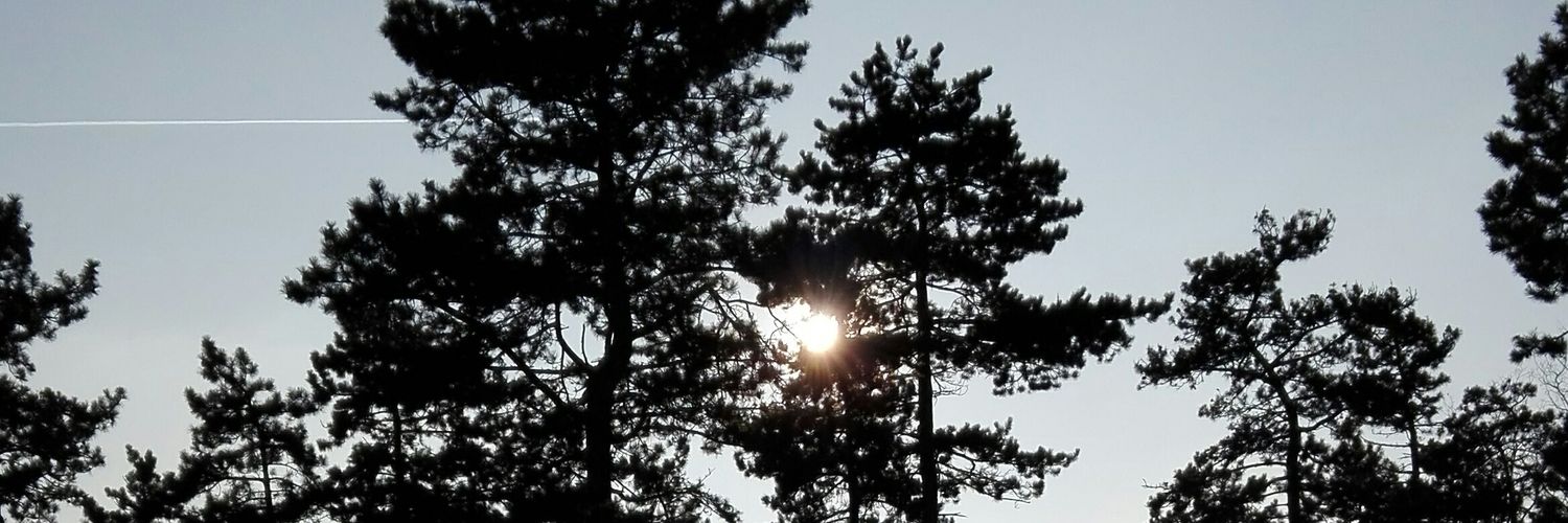DancerRenny's profile banner image