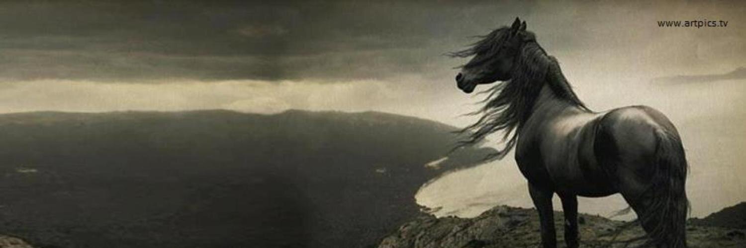 bassel23's profile banner image