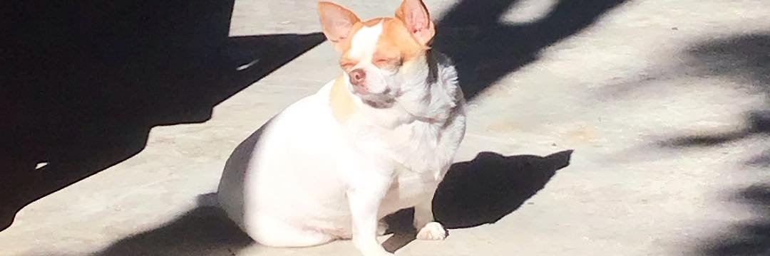 Emil Malmsten banner